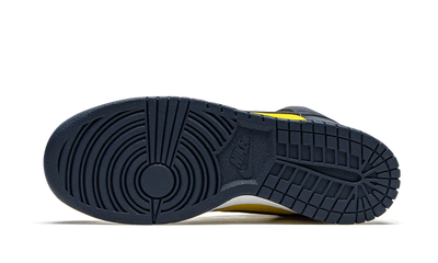 Nike Dunk High Michigan