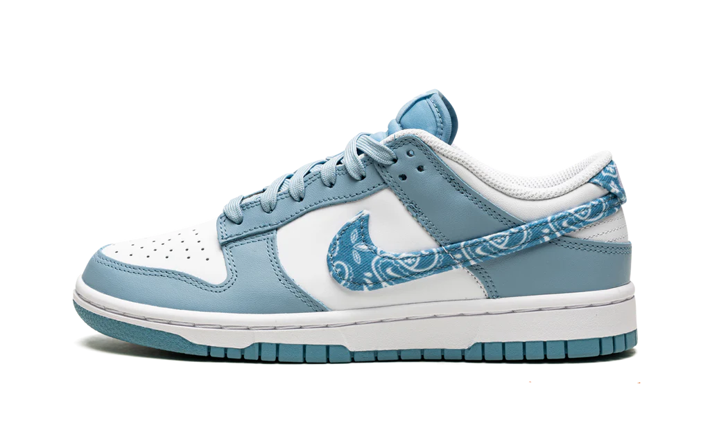 Nike Dunk Low Essential Paisley Pack Worn