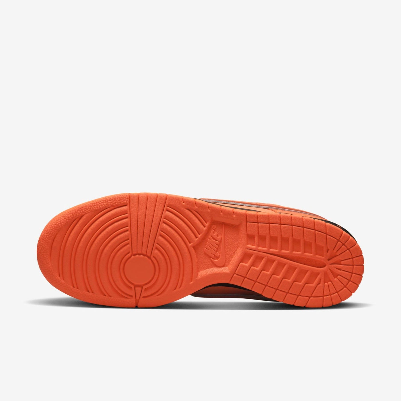 Nike SB Dunk Concepts Orange Lobster