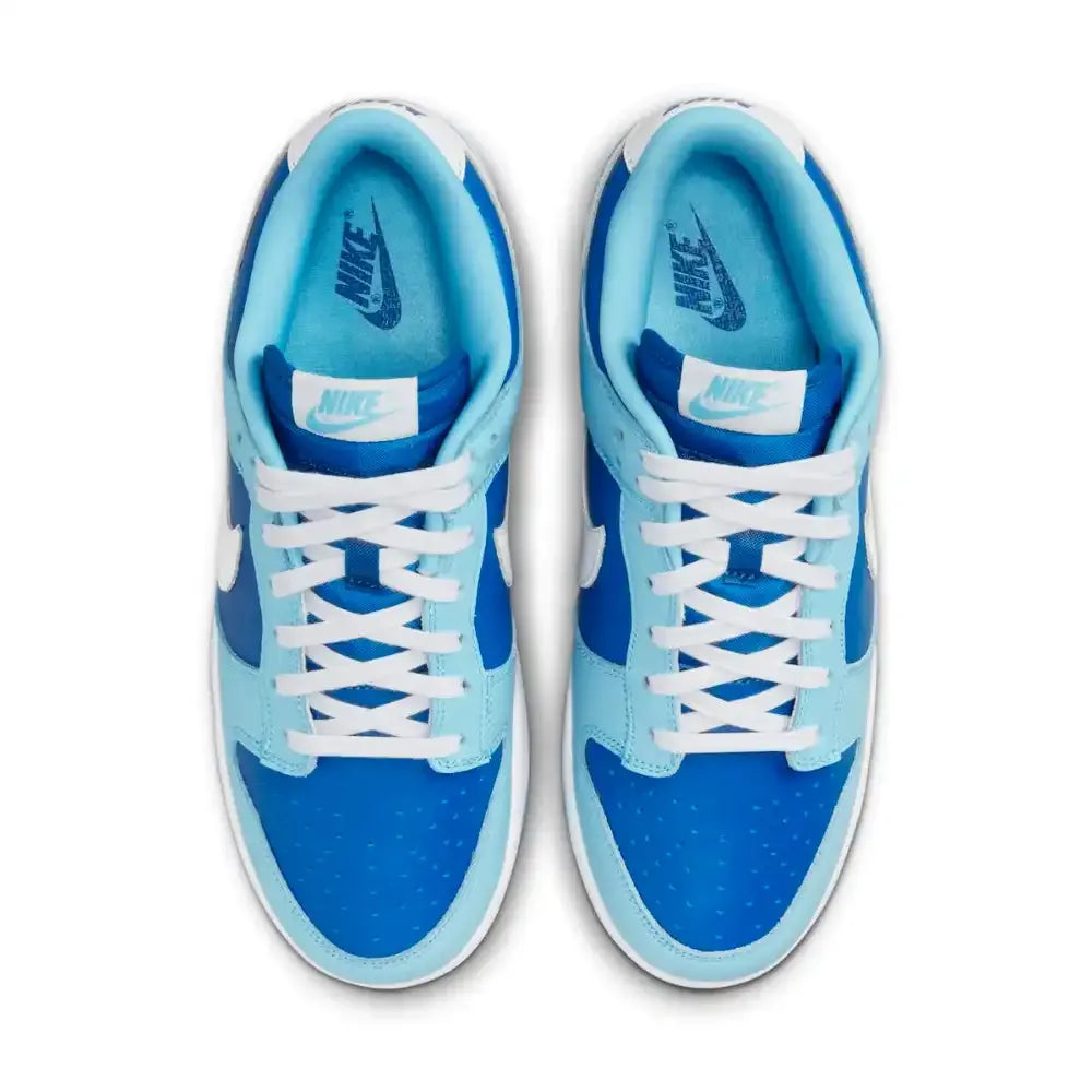 Nike Dunk Low Retro Argon