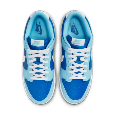 Nike Dunk Low Retro Argon