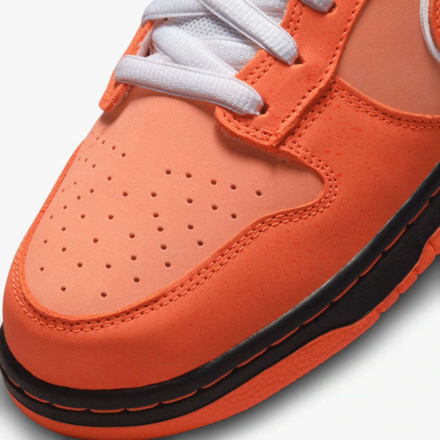 Nike SB Dunk Concepts Orange Lobster