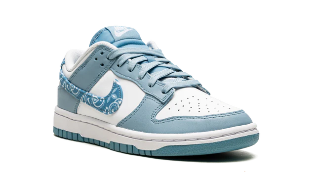 Nike Dunk Low Essential Paisley Pack Worn